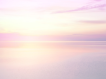 会社情報イメージ