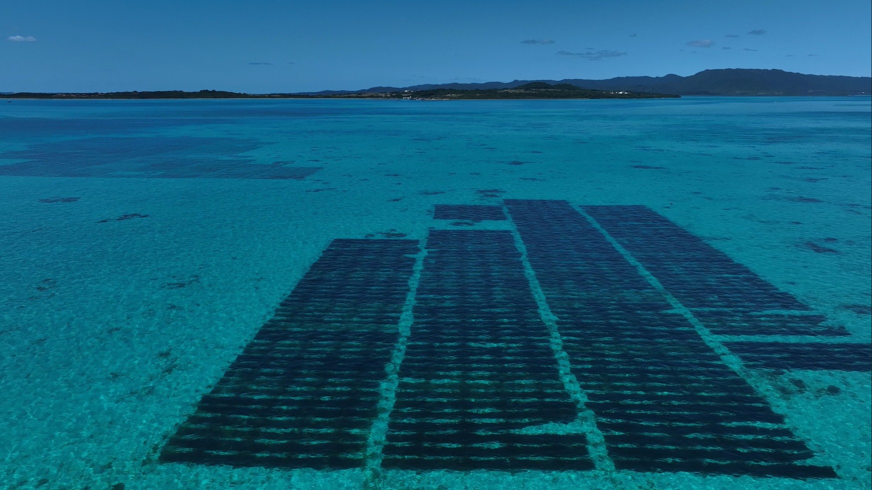 会社情報イメージ