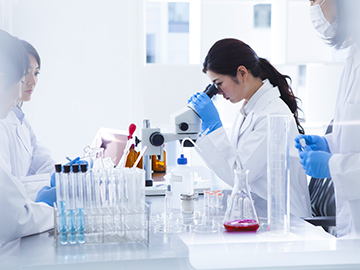 会社情報イメージ