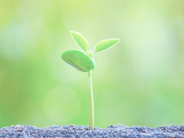 会社情報イメージ